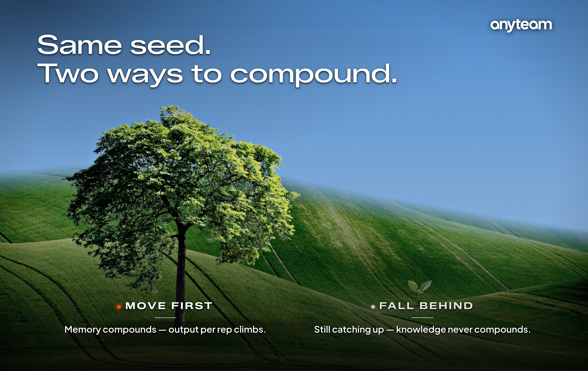 Same seed, two ways to compound — an established tree vs a seedling, moving first vs falling behind in the new selling economy.